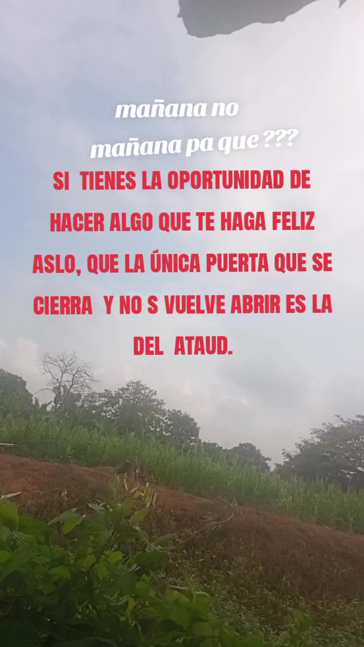 @Estefanía 17