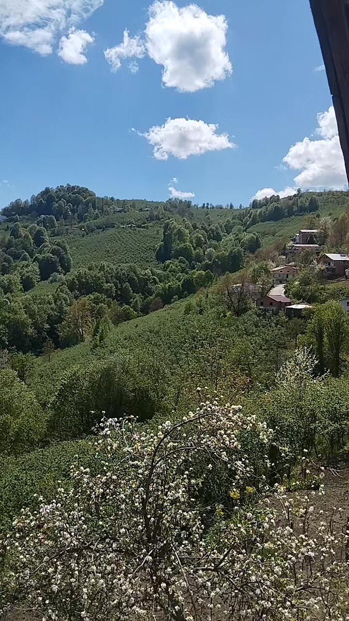 @YoNcA🍀🍀🍀