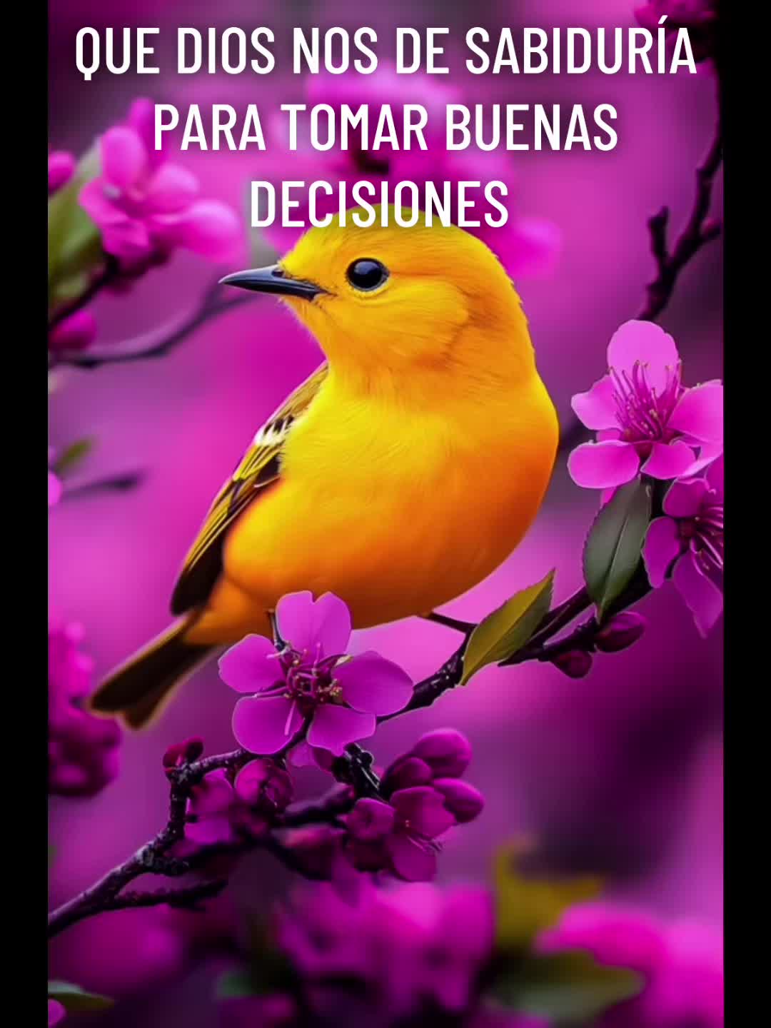 @Adelsomusicacristiana