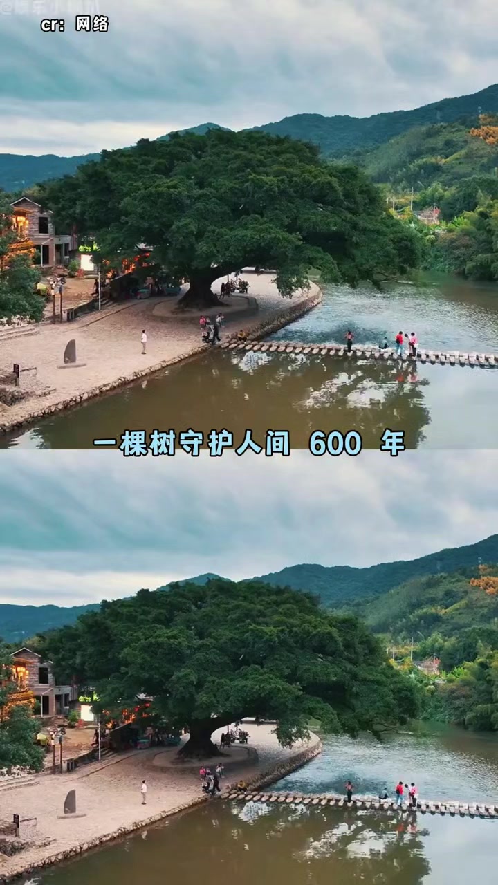 @林京一
