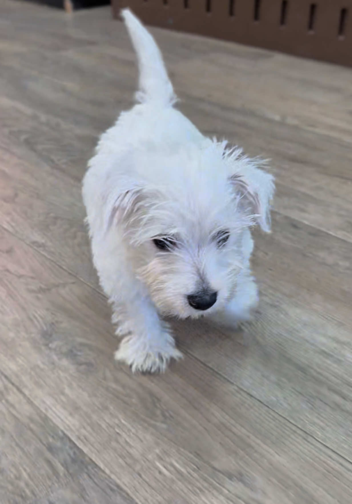 @Petland Oklahoma City