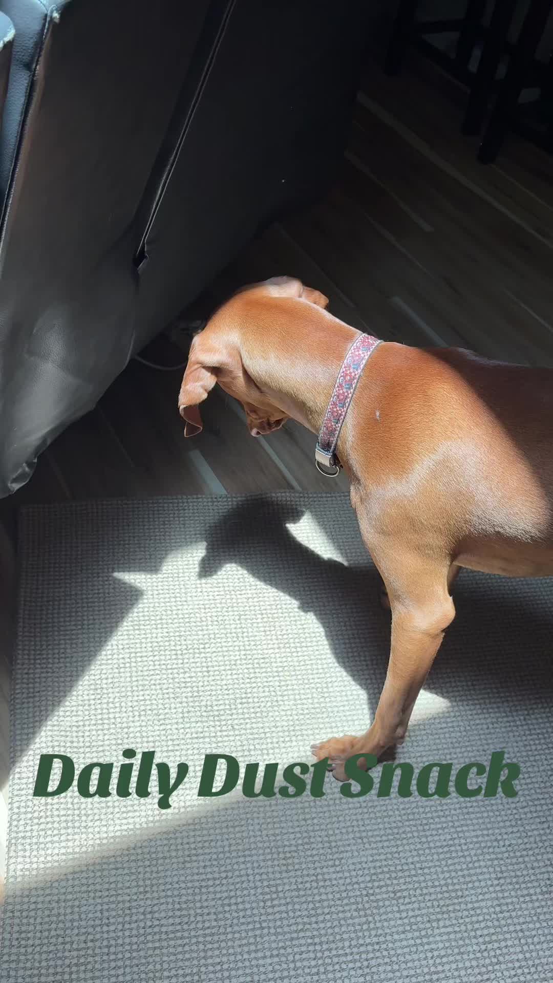 @Mater