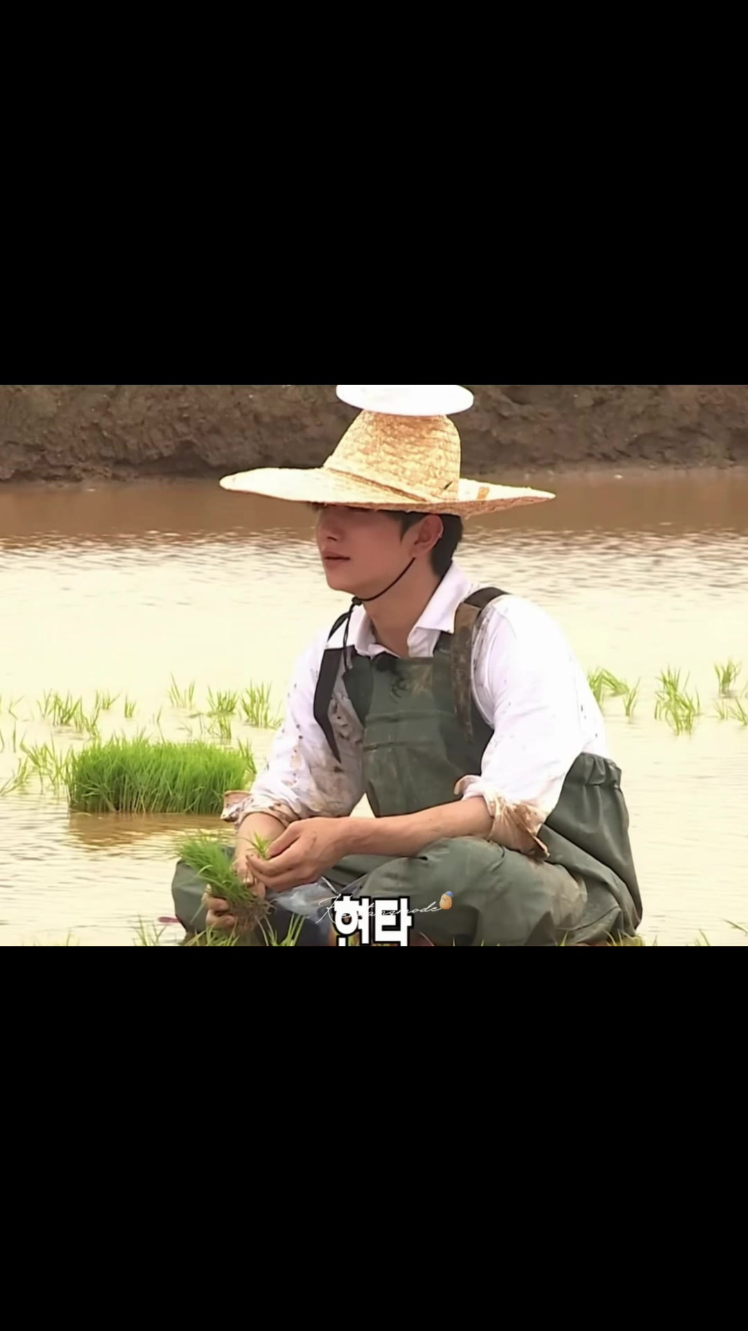 @Kentangmode🥔