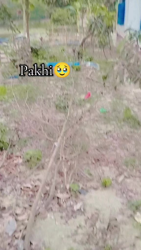 @❤️🩹Hasan+Prity🦋
