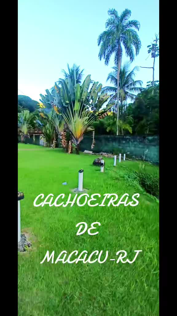 @Dea Castro
