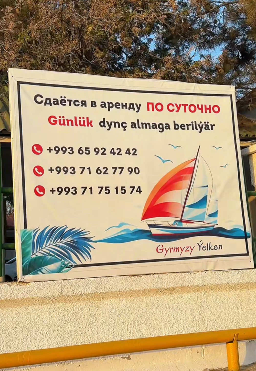 @Yalgashev🇹🇲