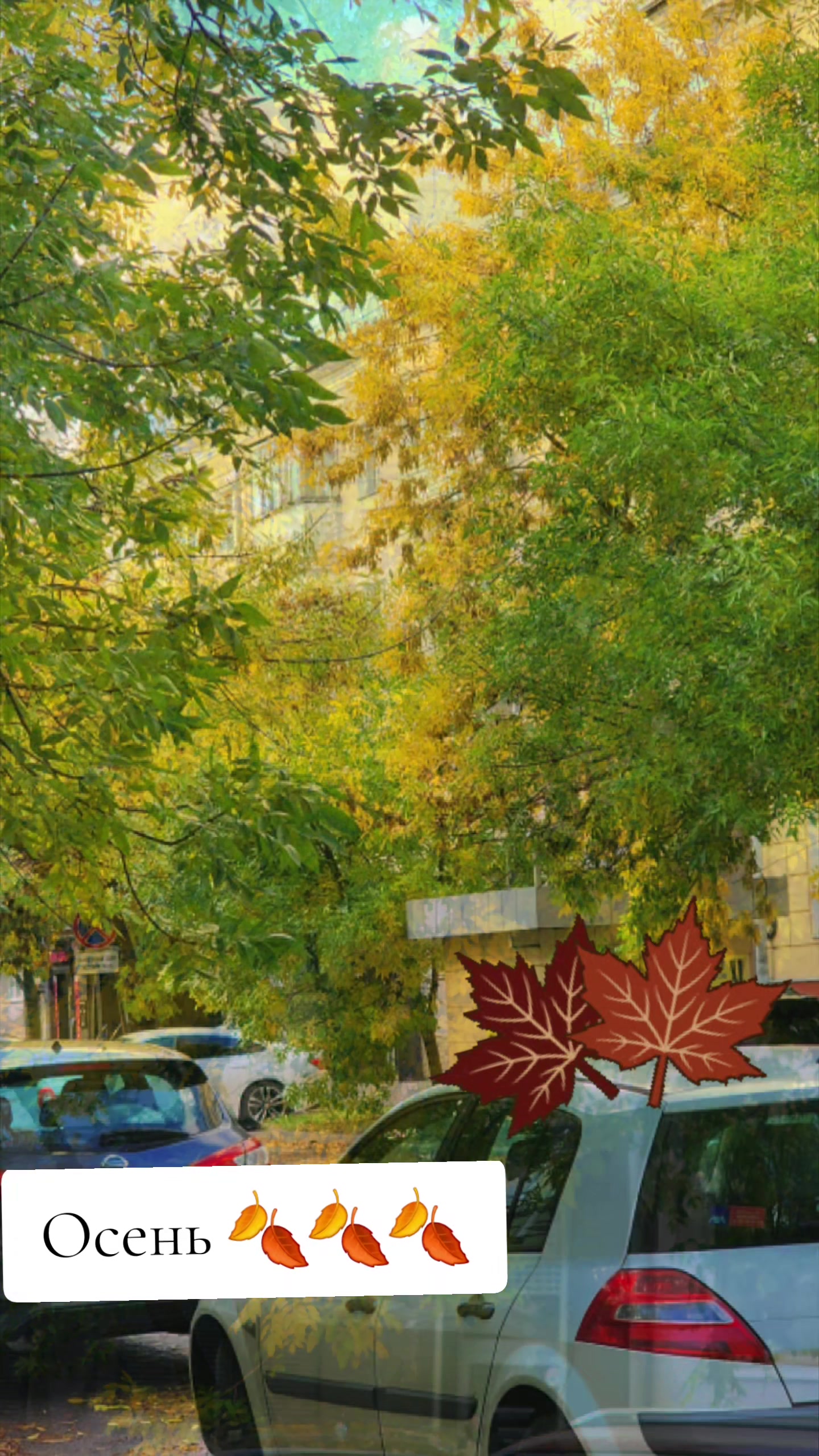 @💞ЗефИРКА💞