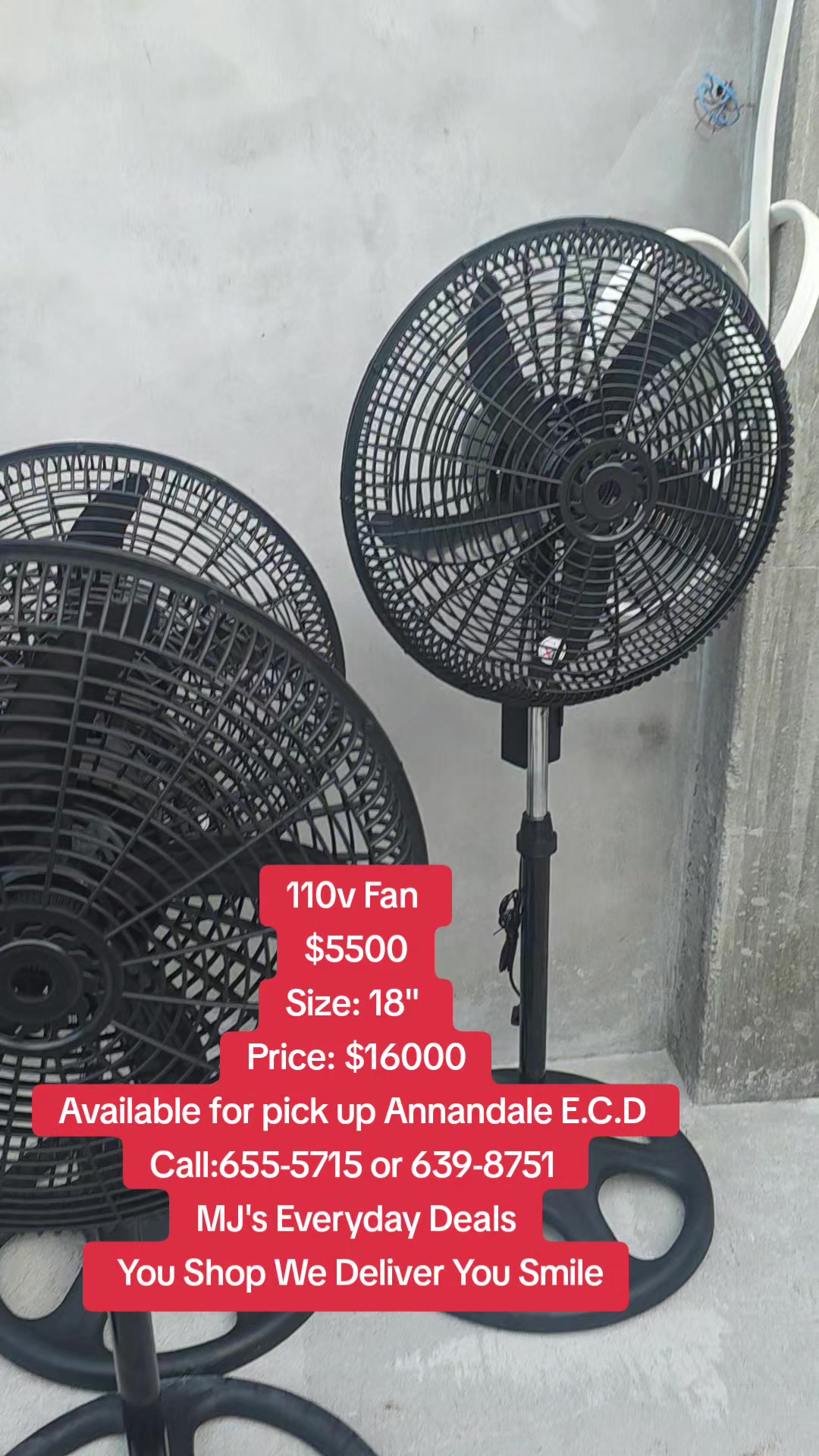 @MJ's Everyday Deals
