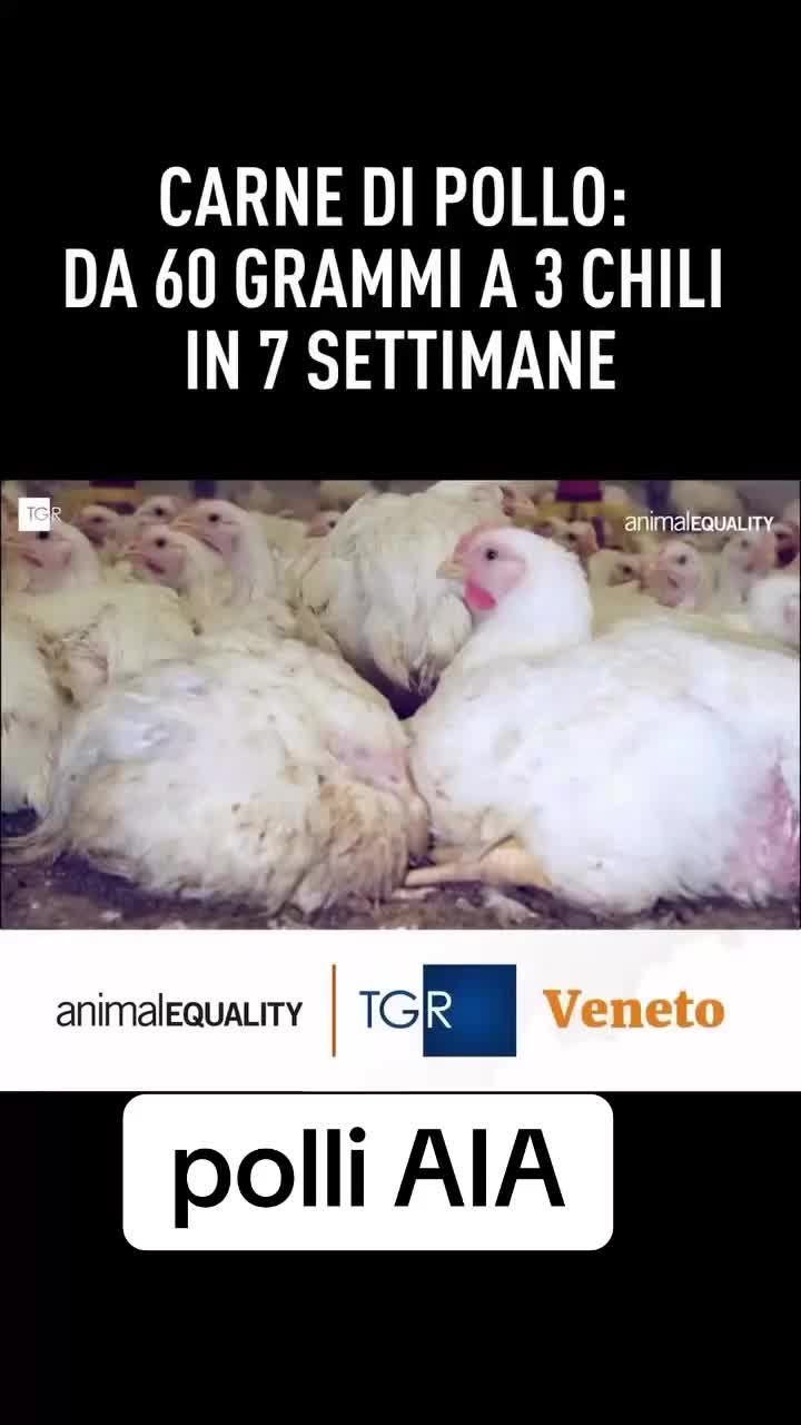 @cibospazzatura
