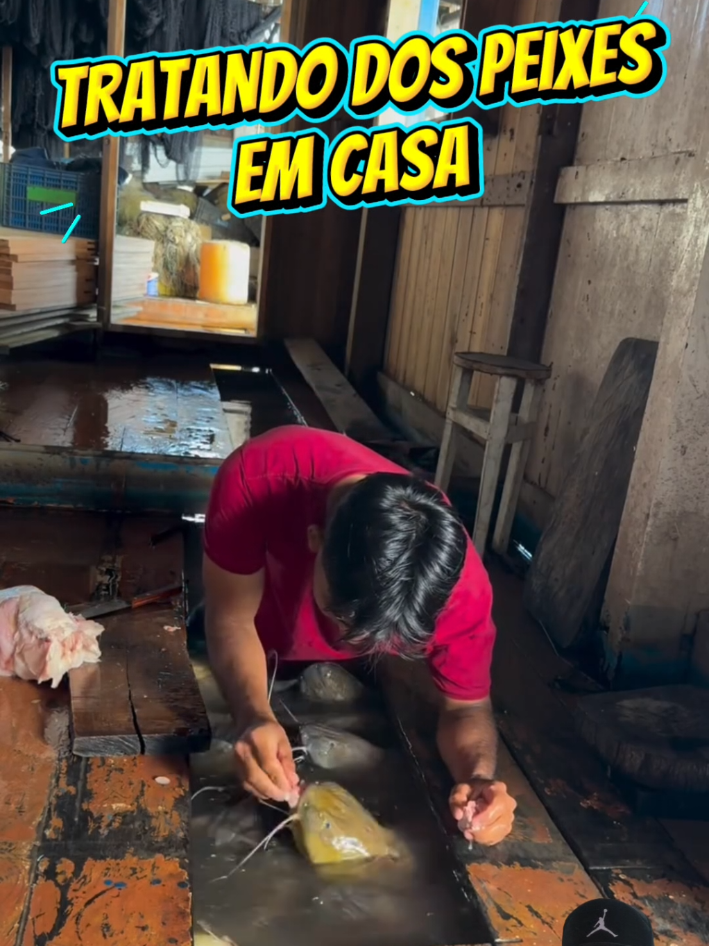 @TRAVEL PINGUIM
