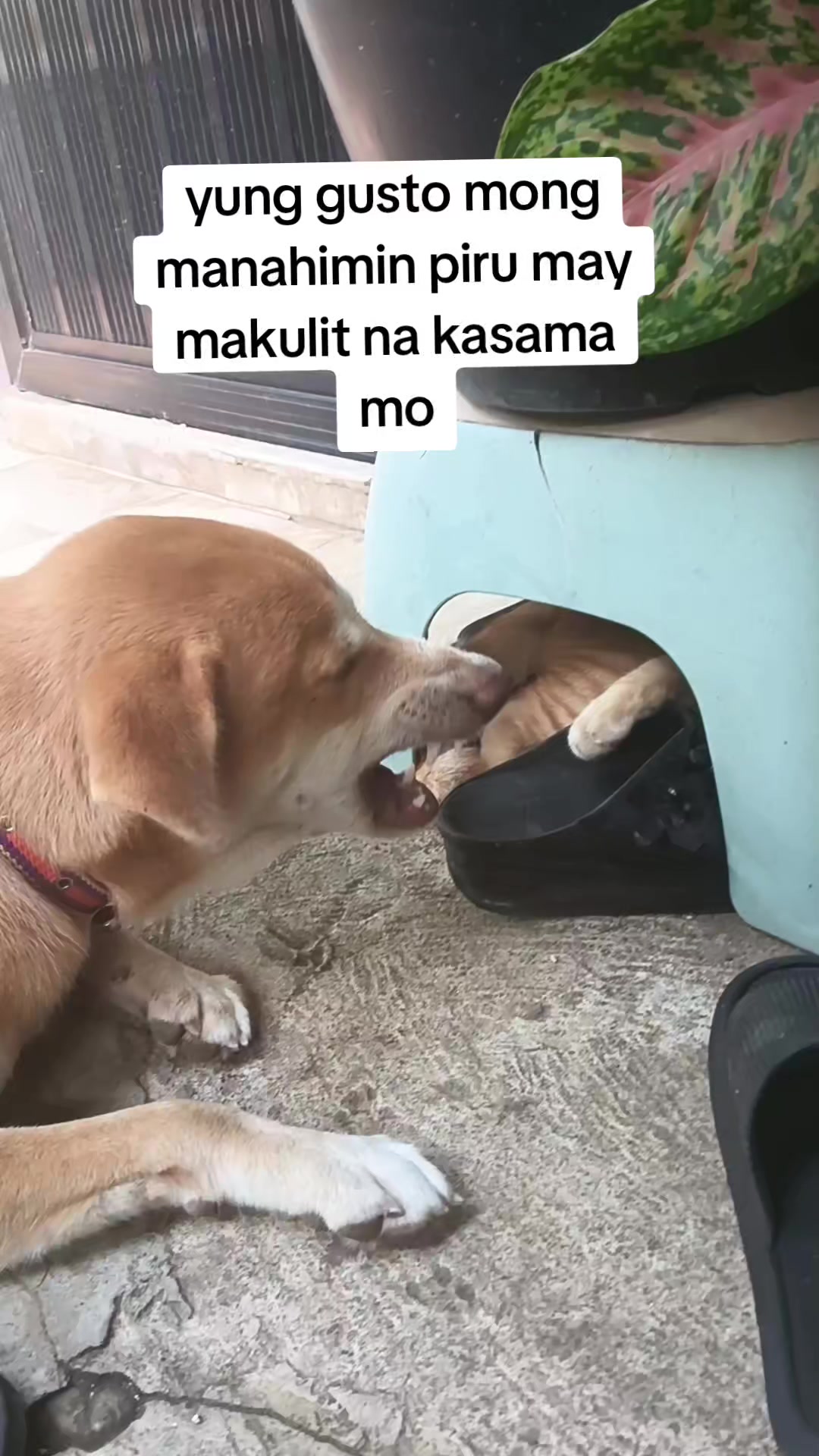@April Jeanz Godelos