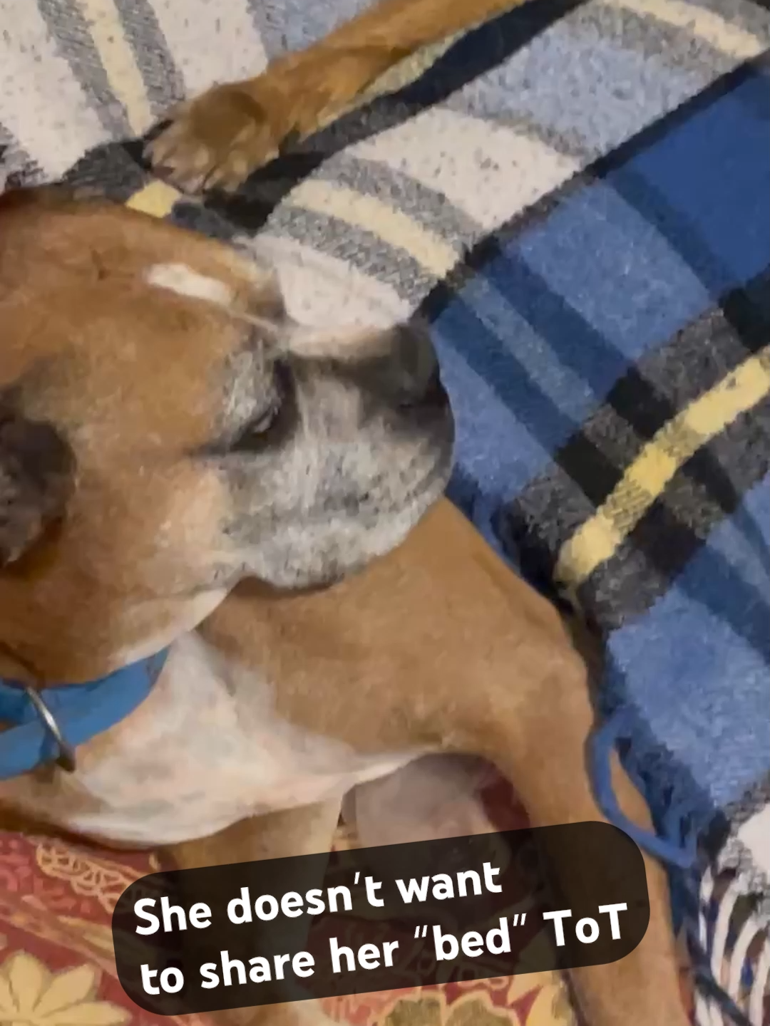 @Junntendo