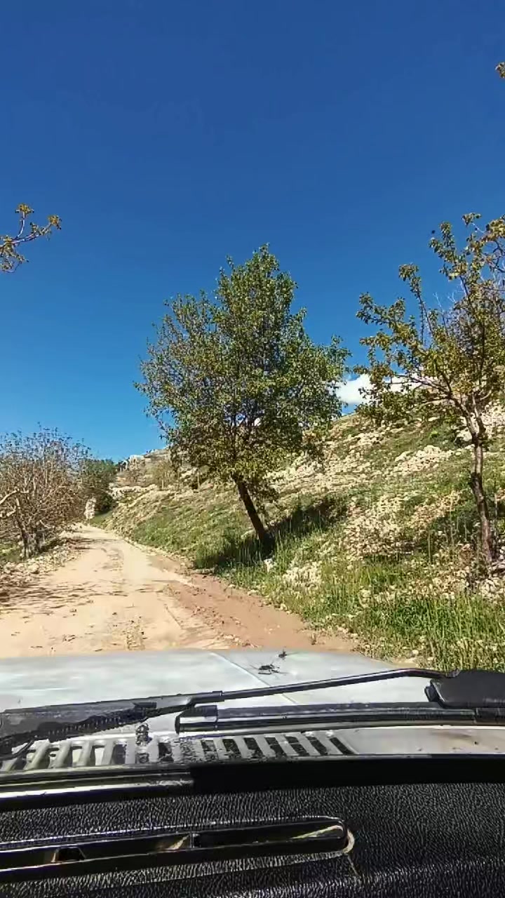 @DAĞCI.46