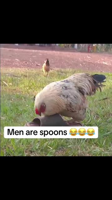 @Pappie🍂🍁