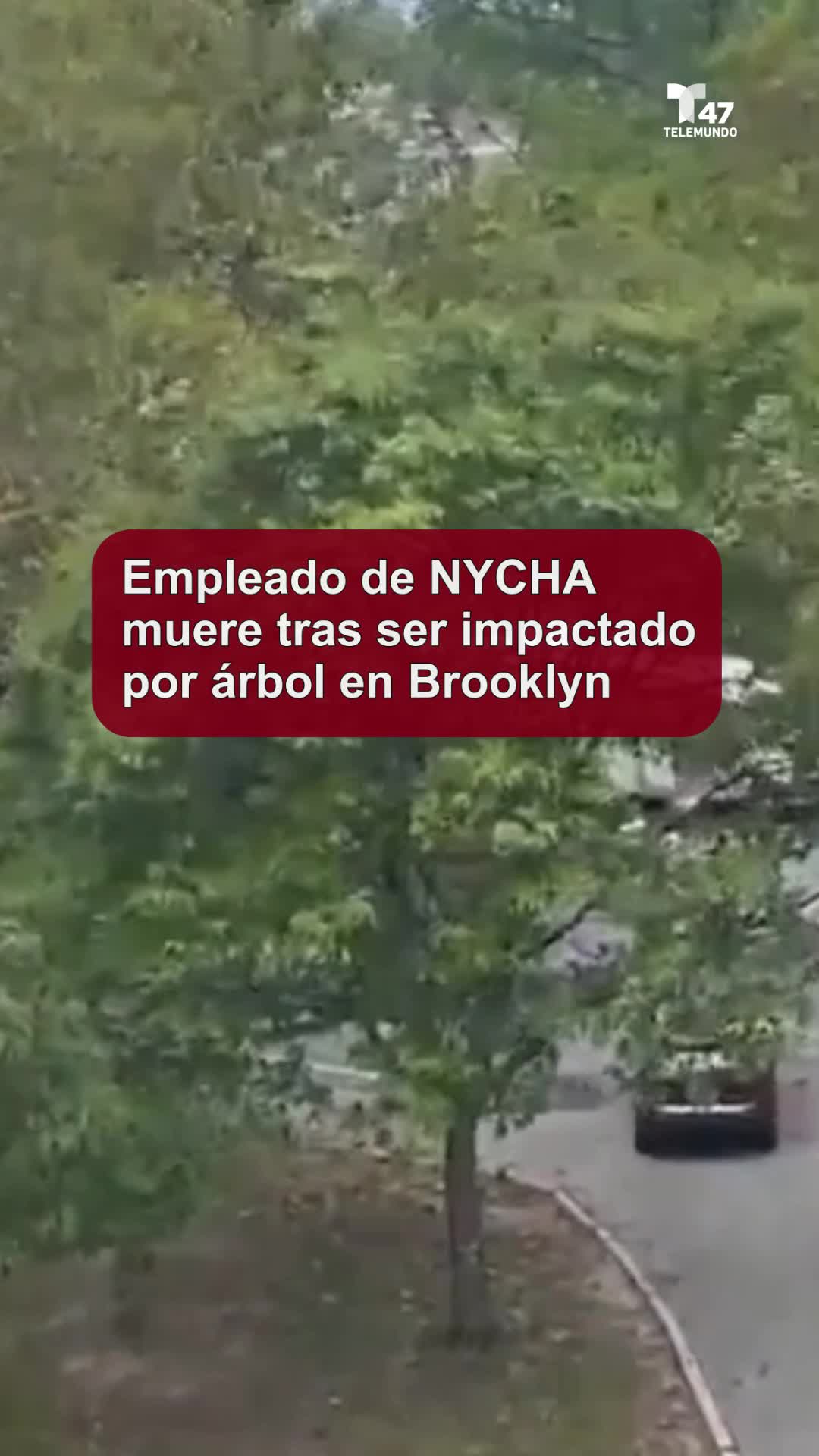 @Telemundo47