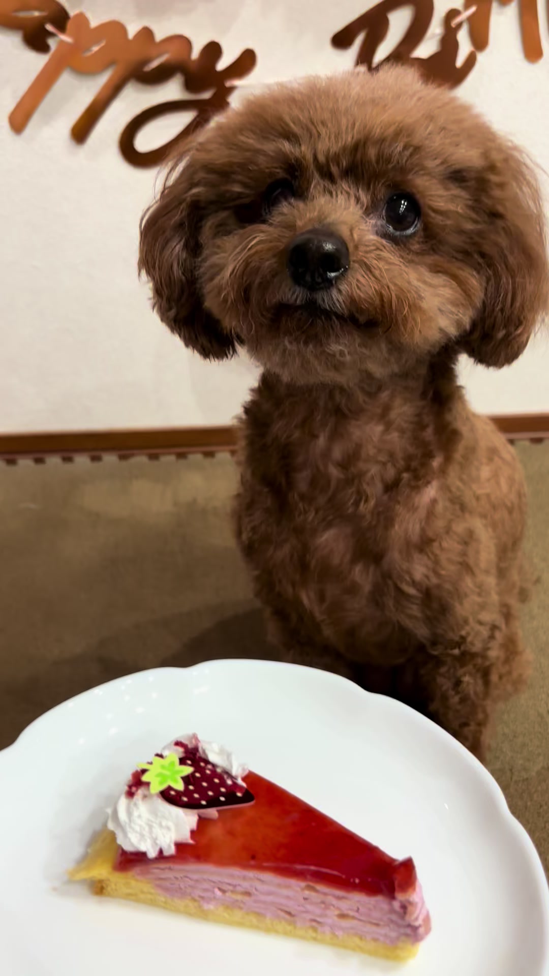 @ララティー