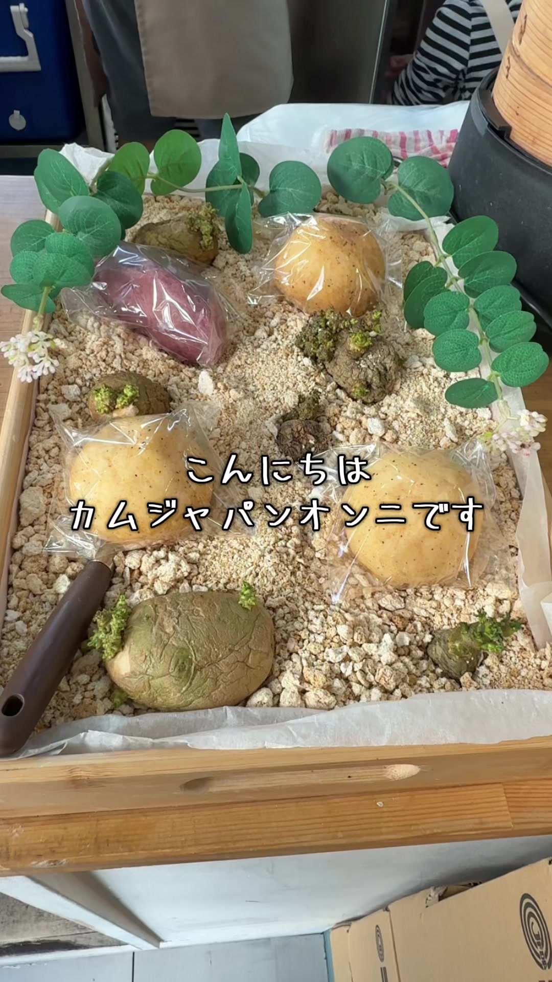 @シノクボオンニ