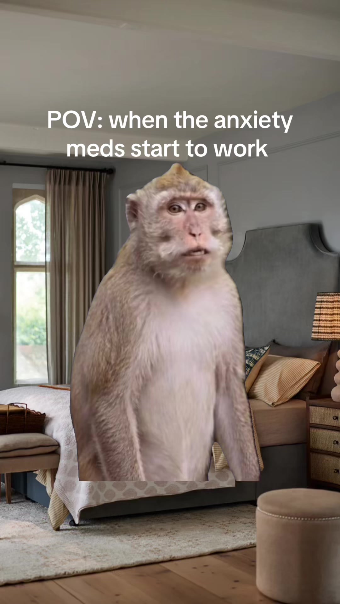 @meme