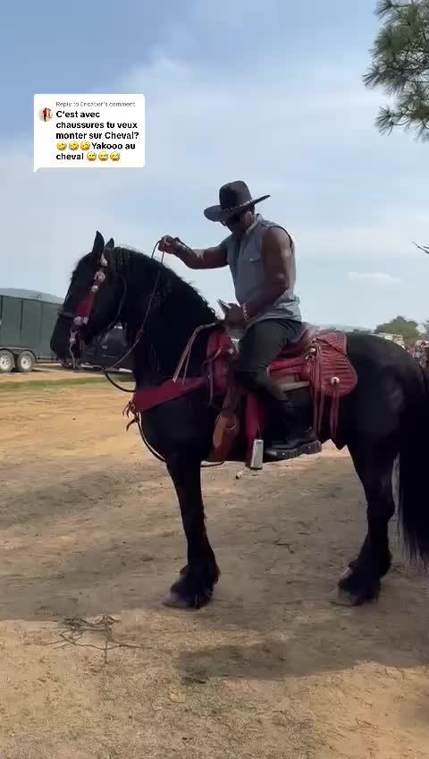 @Bolodiesel