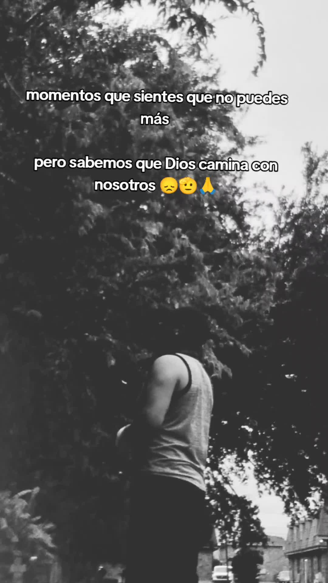 @(SERGIO/CONEX MUSICAL🎼🤛🌷💞)