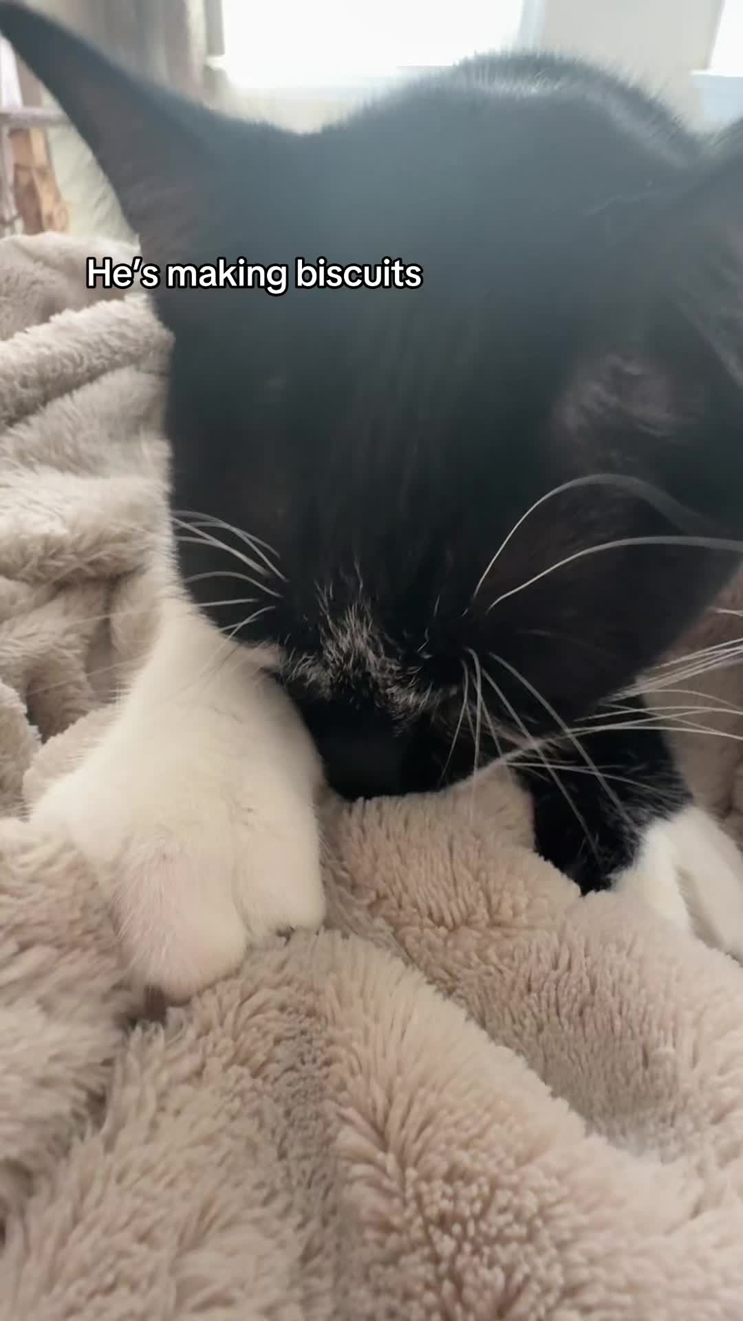 @Kat