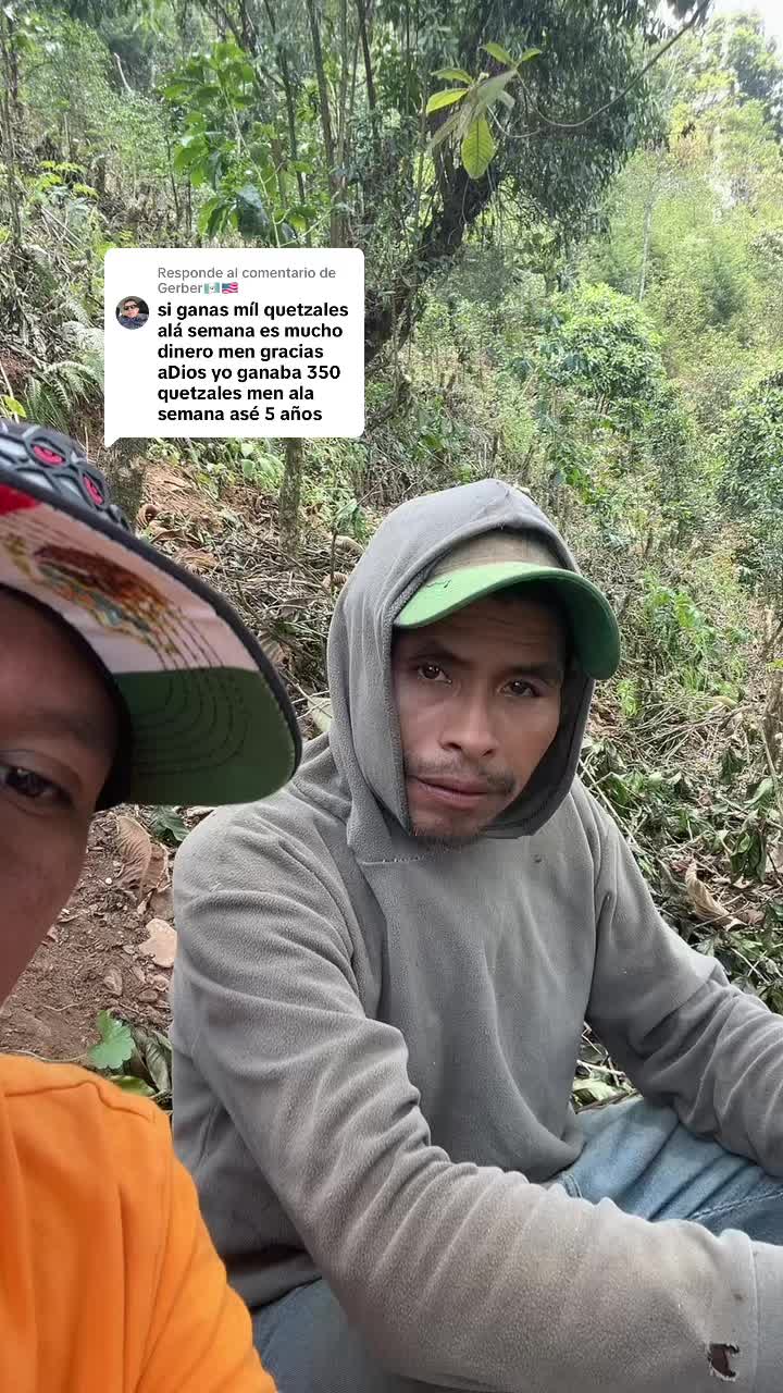 @marco