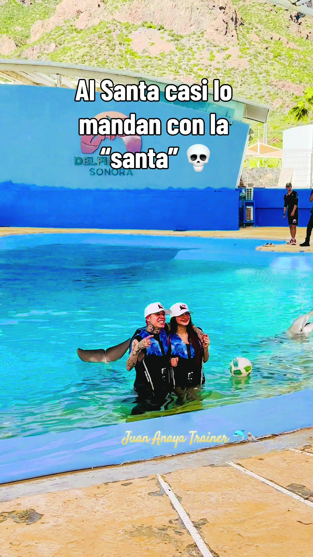 @Juan Anaya Trainer 🐬🦭