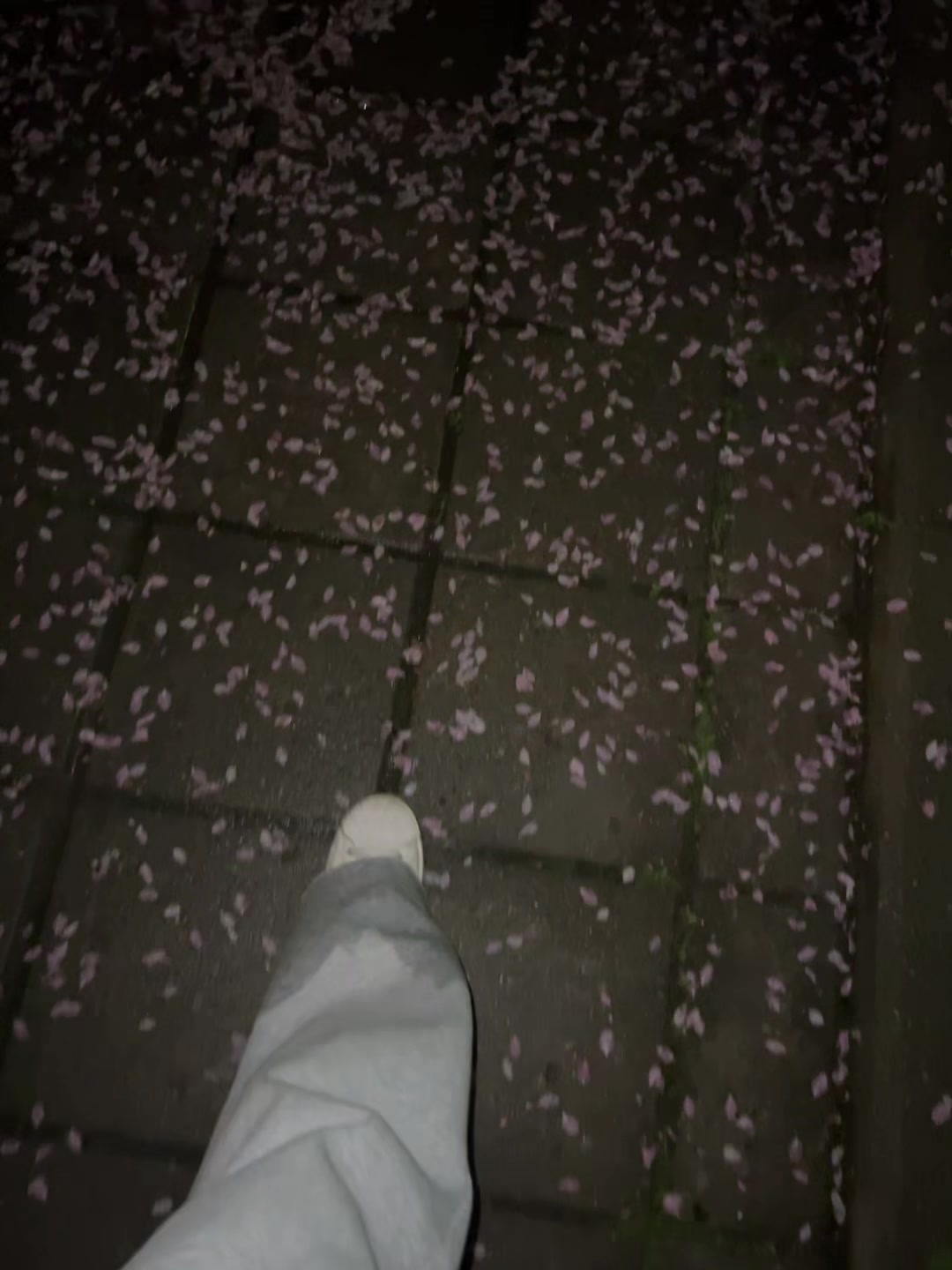 @._nasyaa_