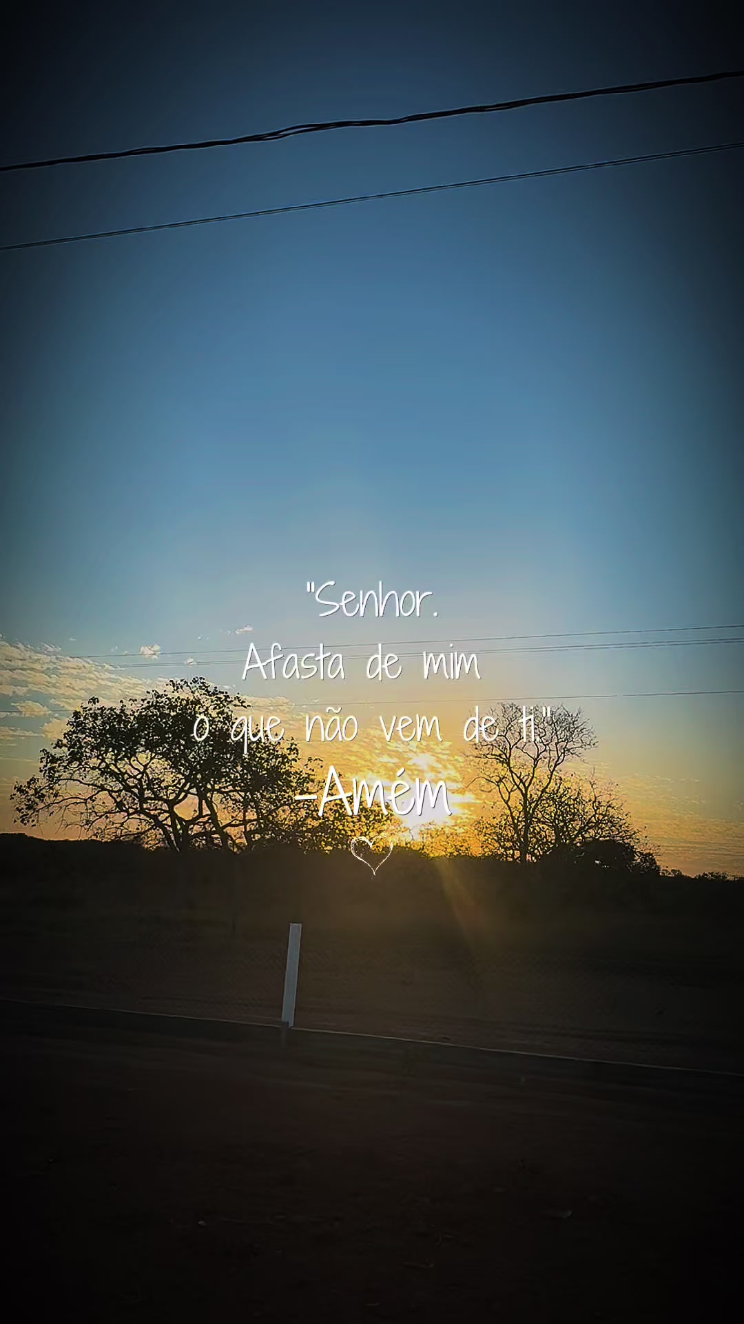 @Suzana Calixto