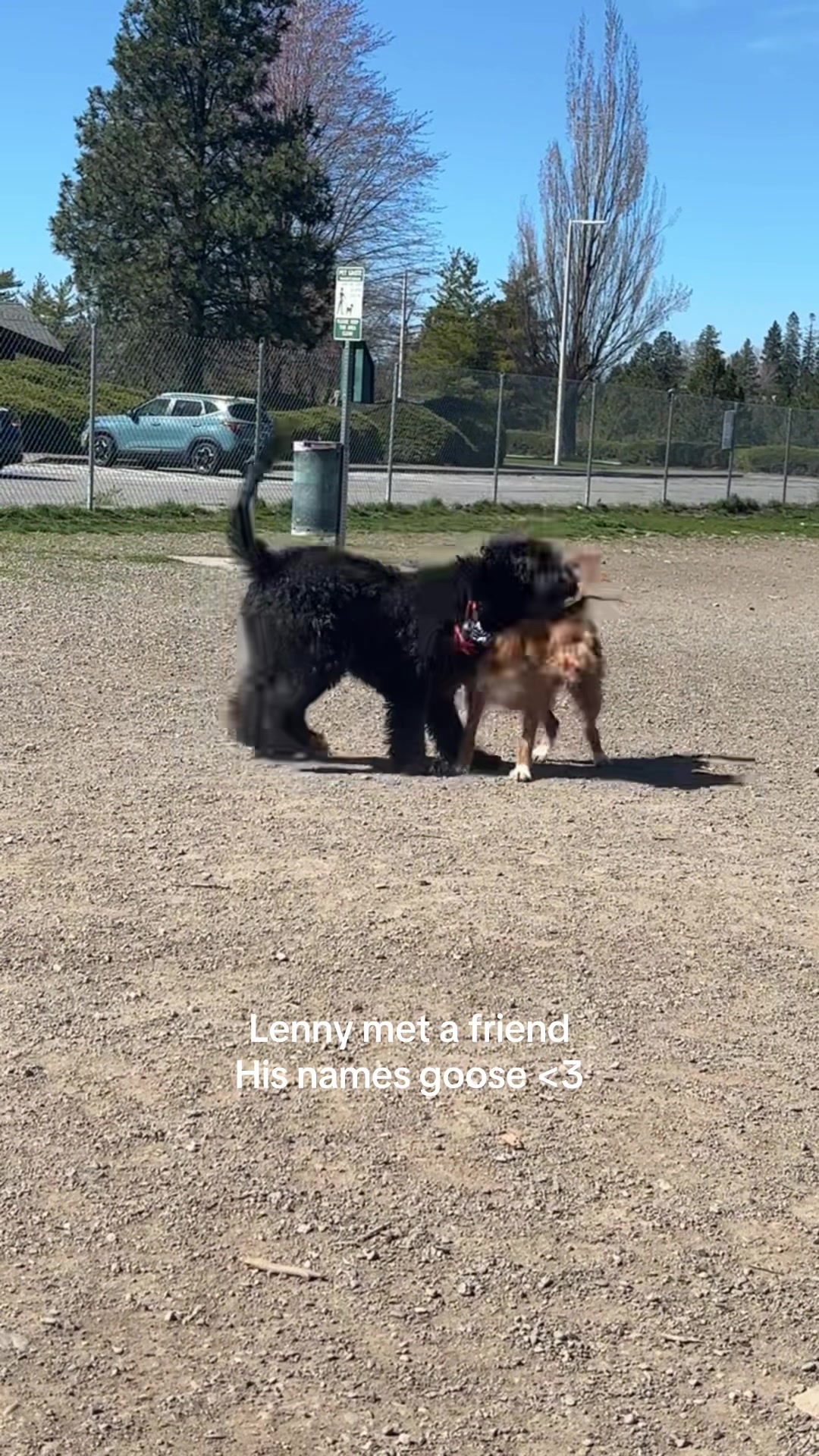 @LennyAndMaple