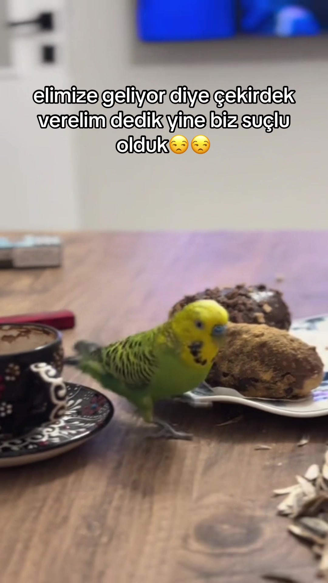 @1humeyarkus