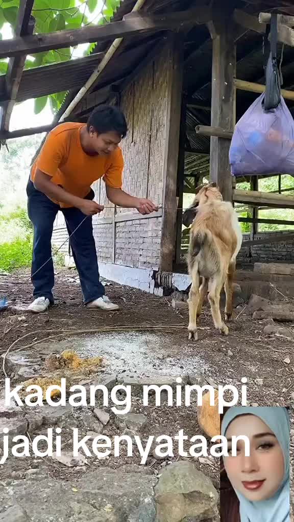 @arulalfan8