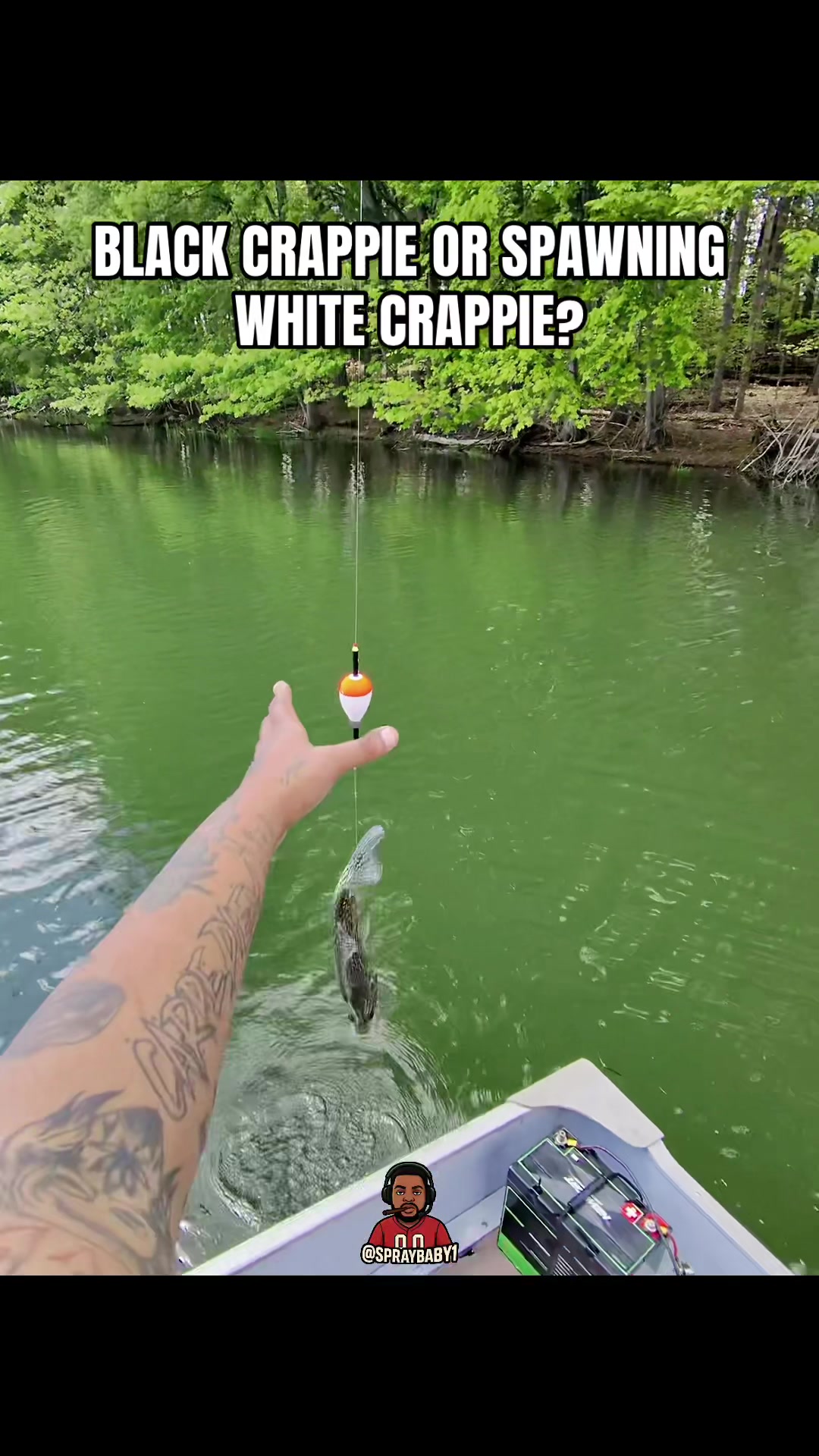 @spraybaby1