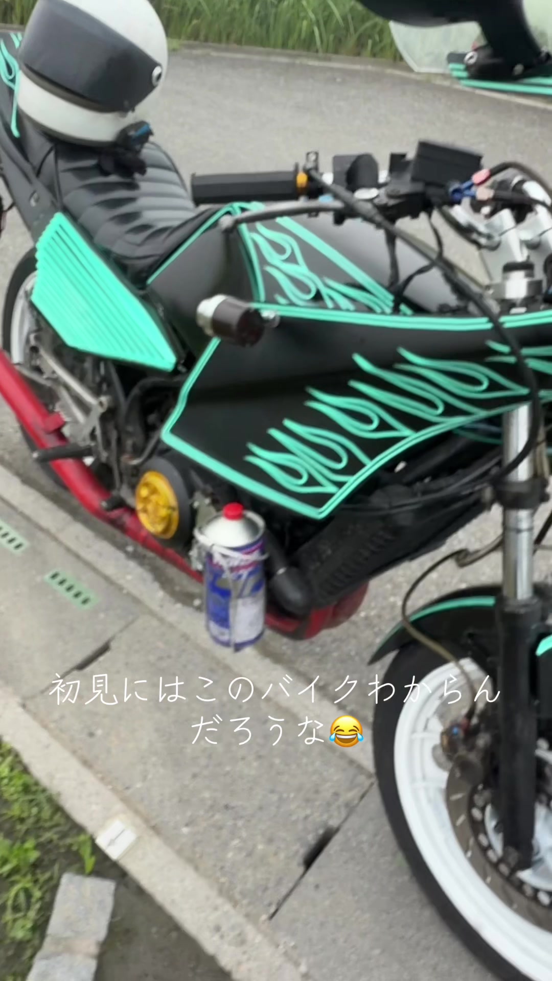 @ハーフ顔のゴキブリ🪳