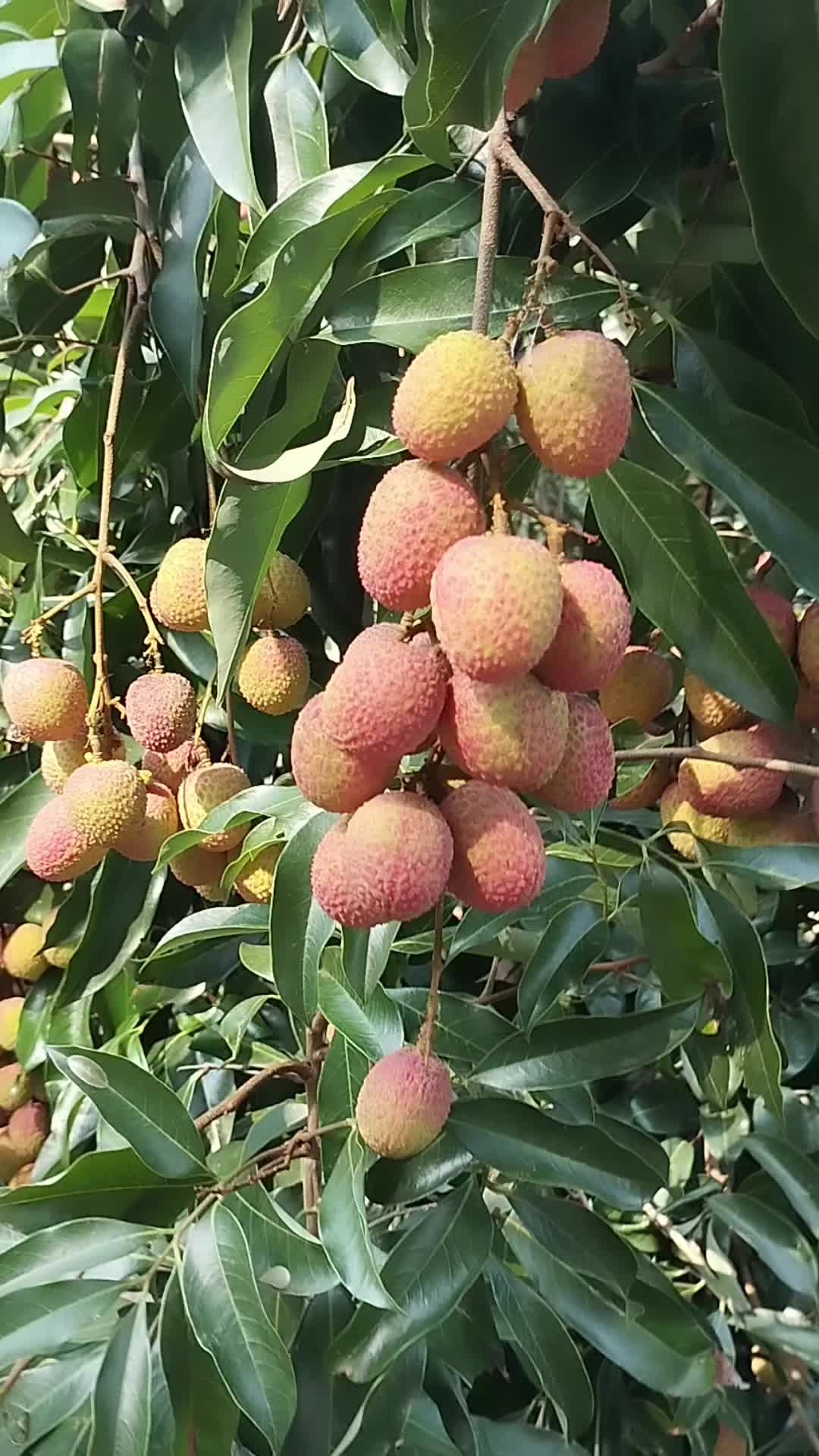 @Arjun111