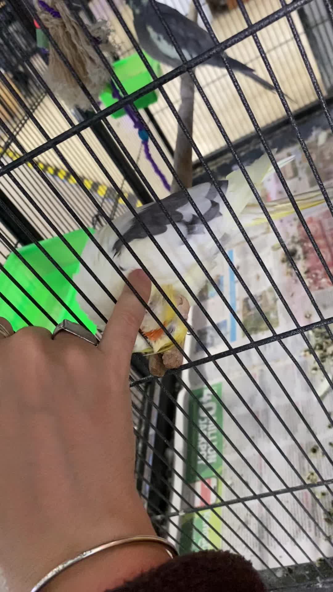 @๐A๐