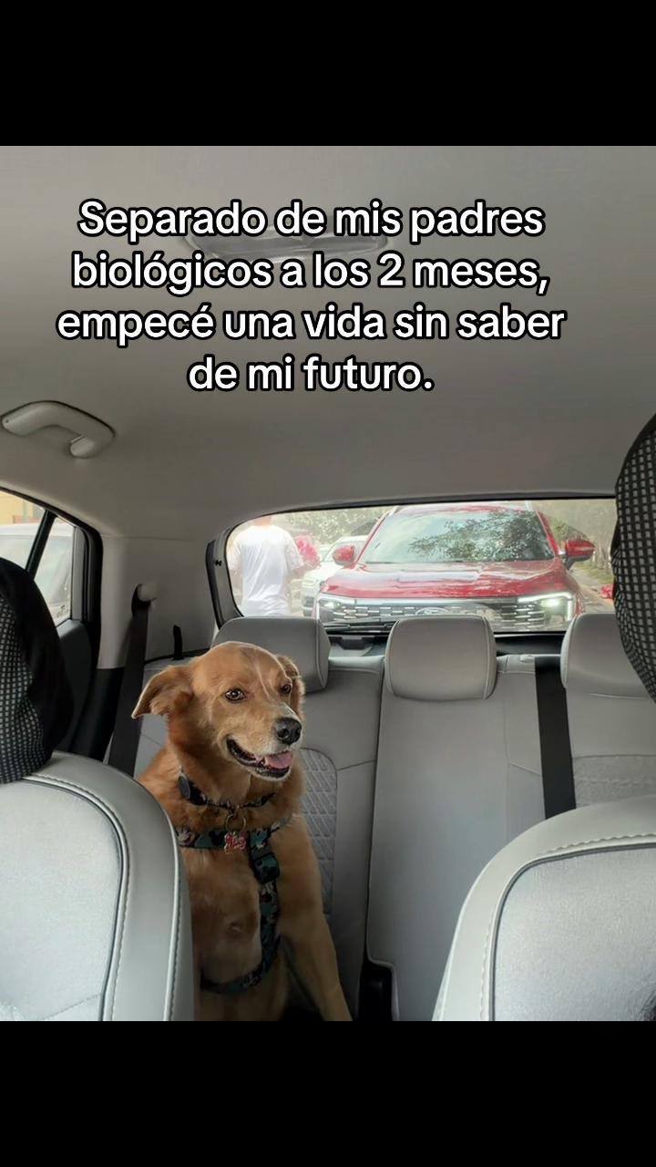 @Diario de Donny🐕 y mami👩🏻