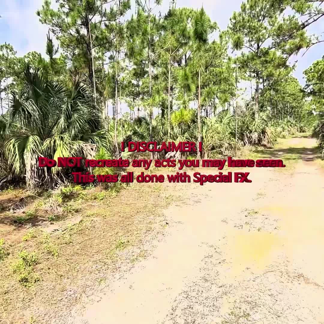 @reptile6x