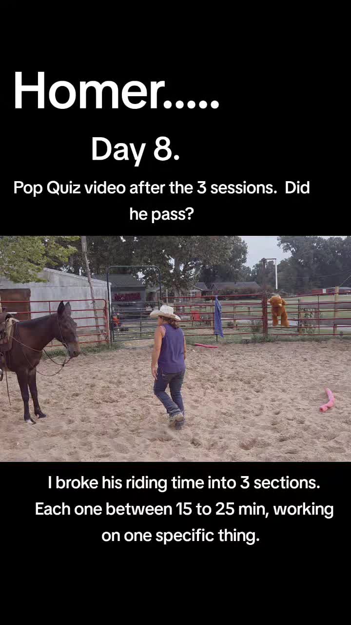 @CactusLMules
