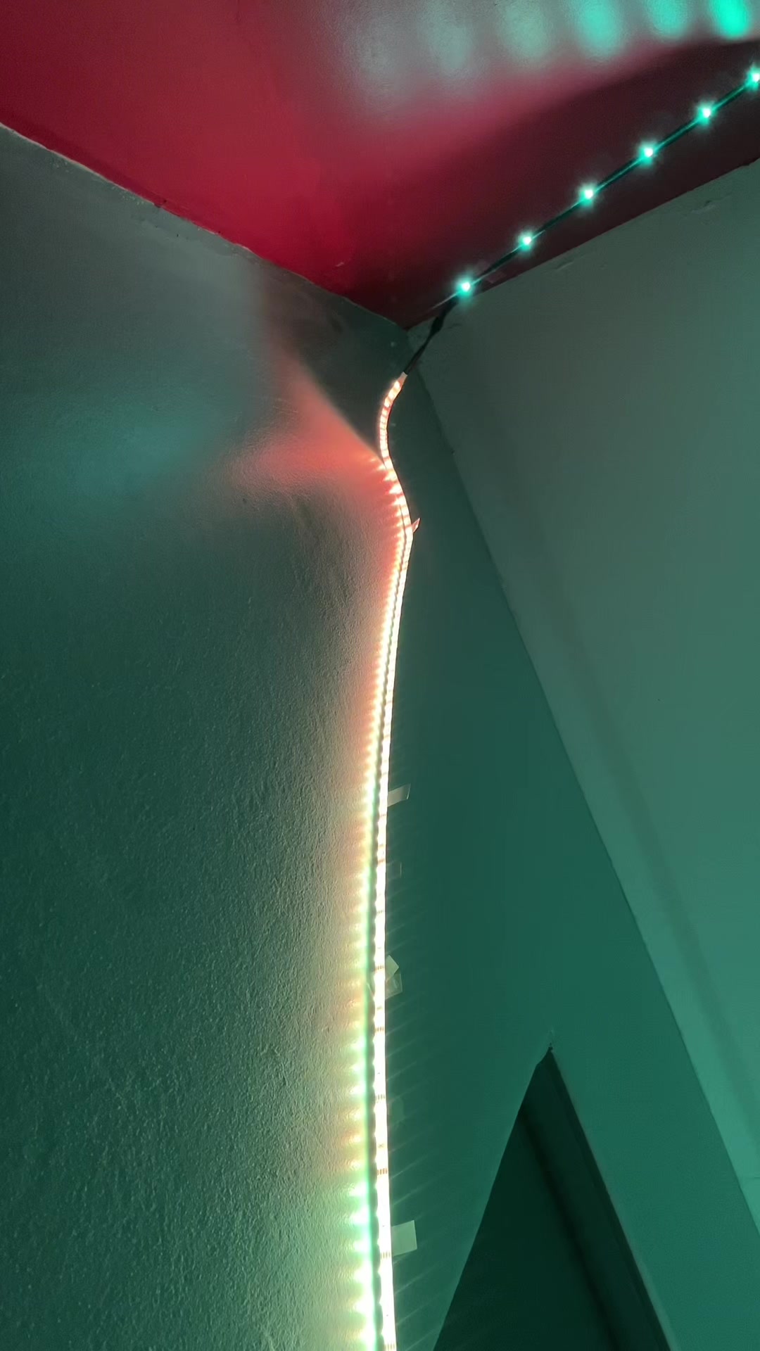 @why.not_p