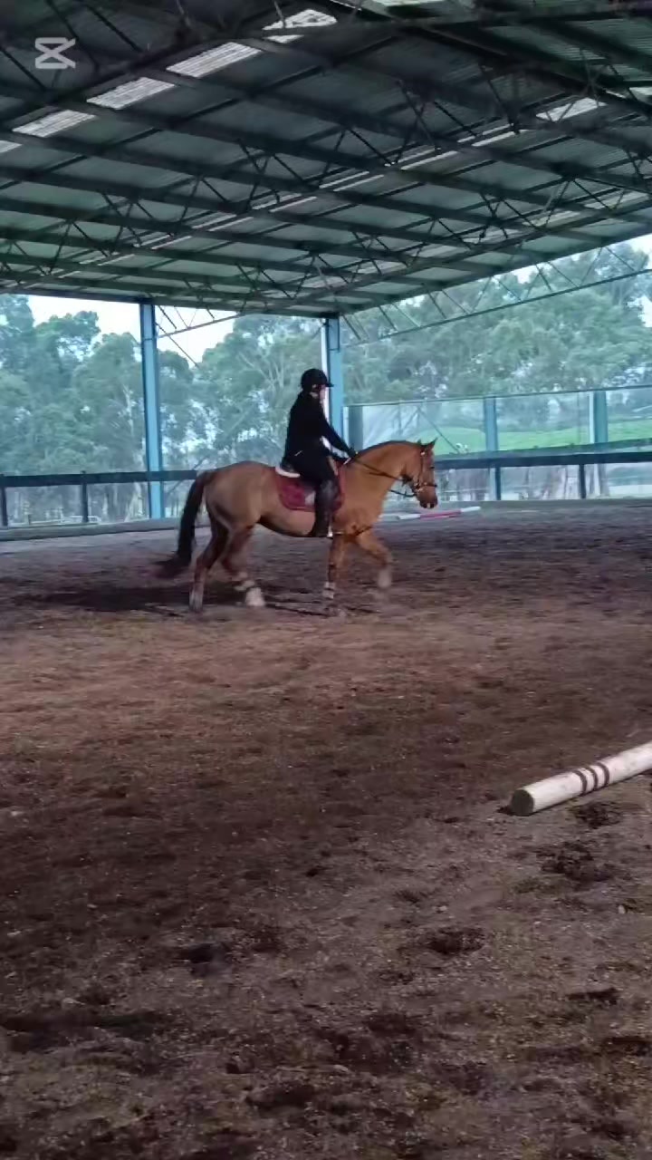 @Pip_equestruan9
