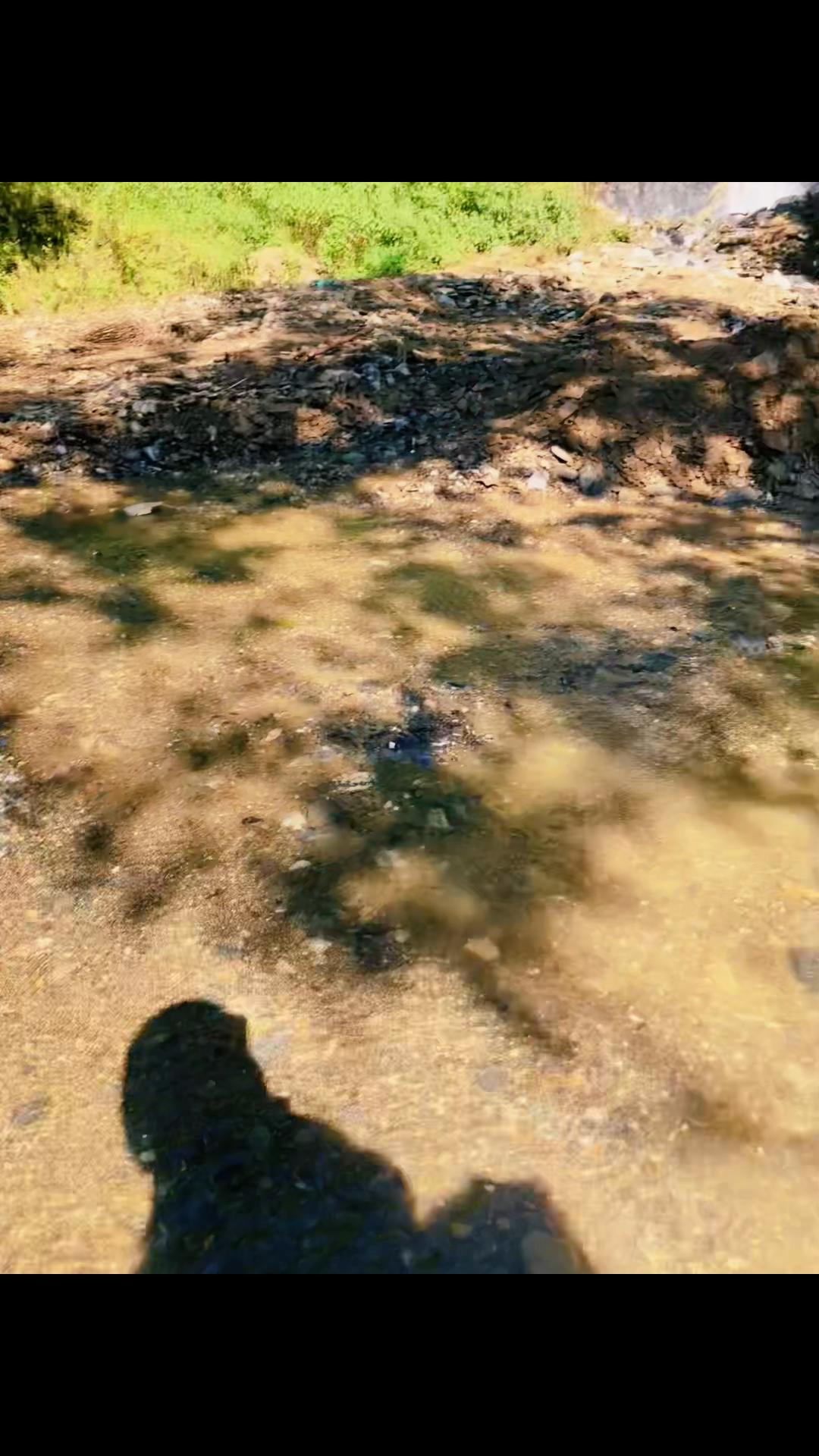 @नवRaaj🐾