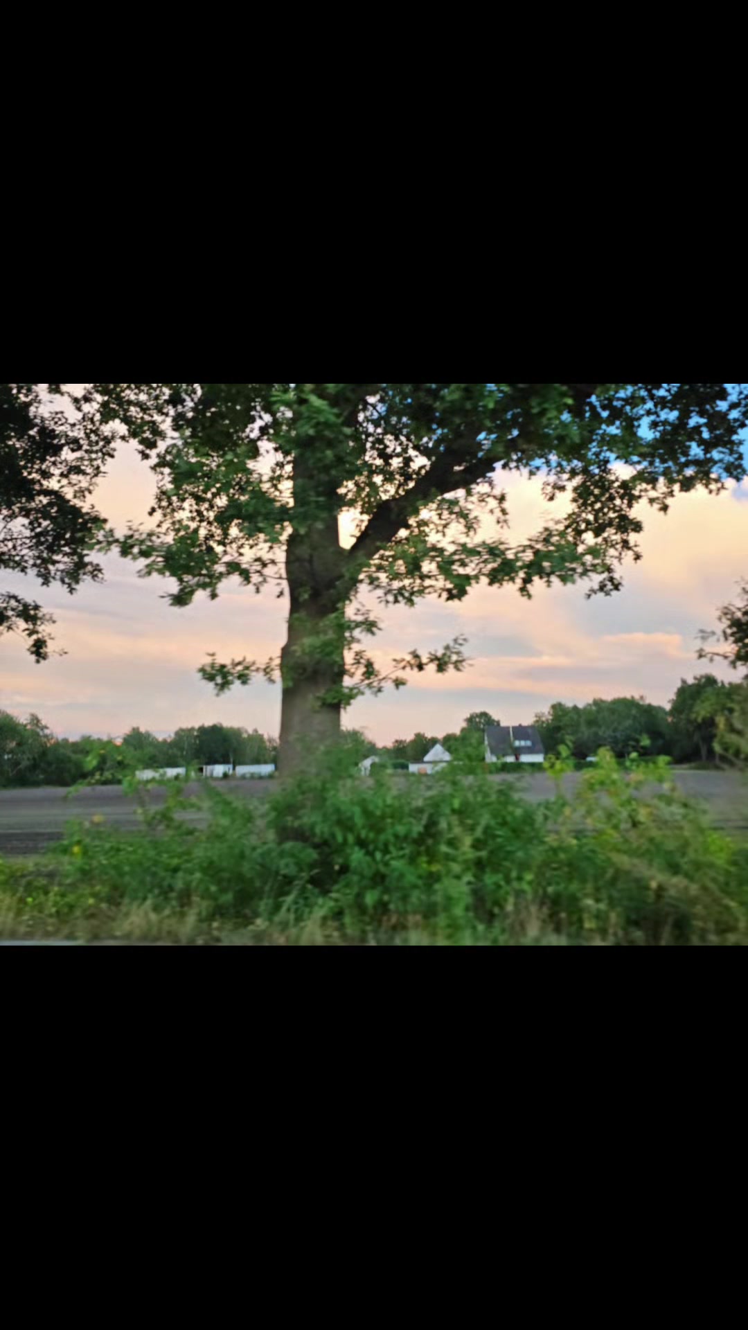 @Kuhflüsterin_aus_Leidenschaft