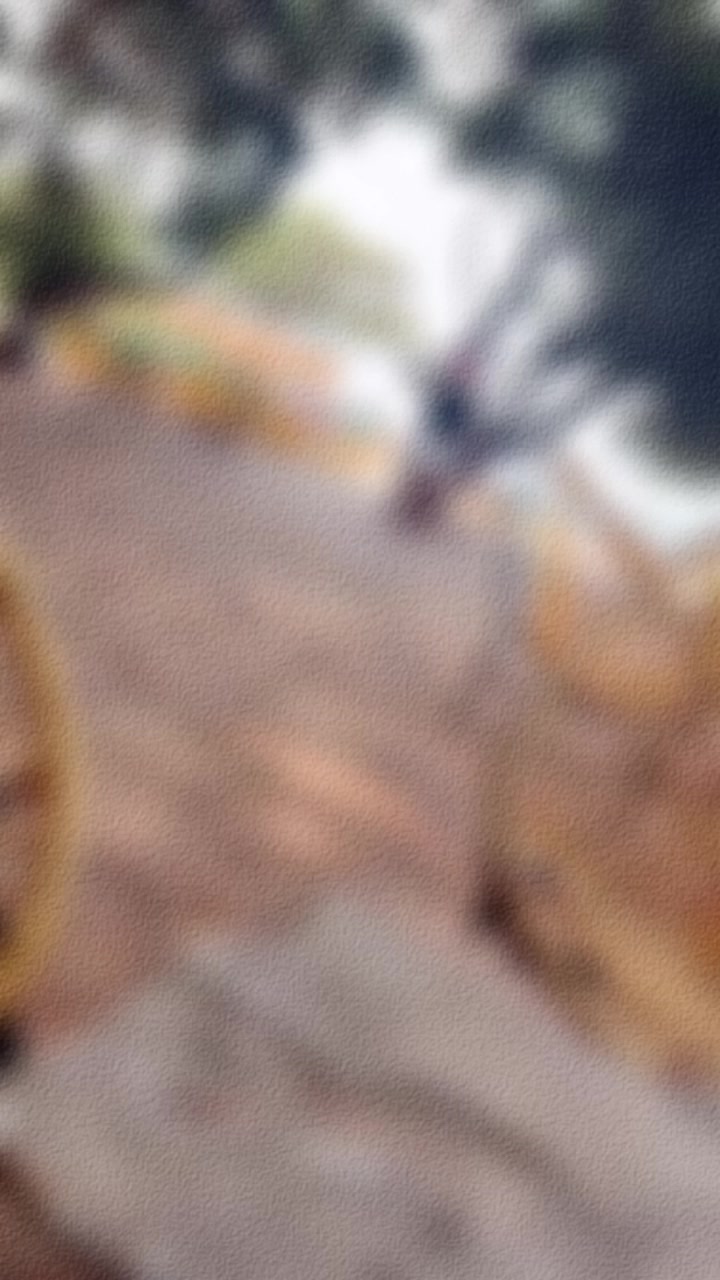 @@TRANELLAH 🧿
