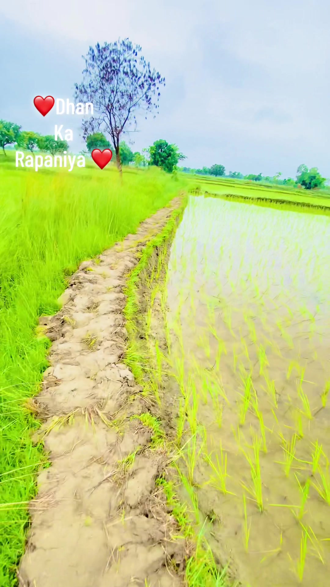 @Prabin Yadav x7
