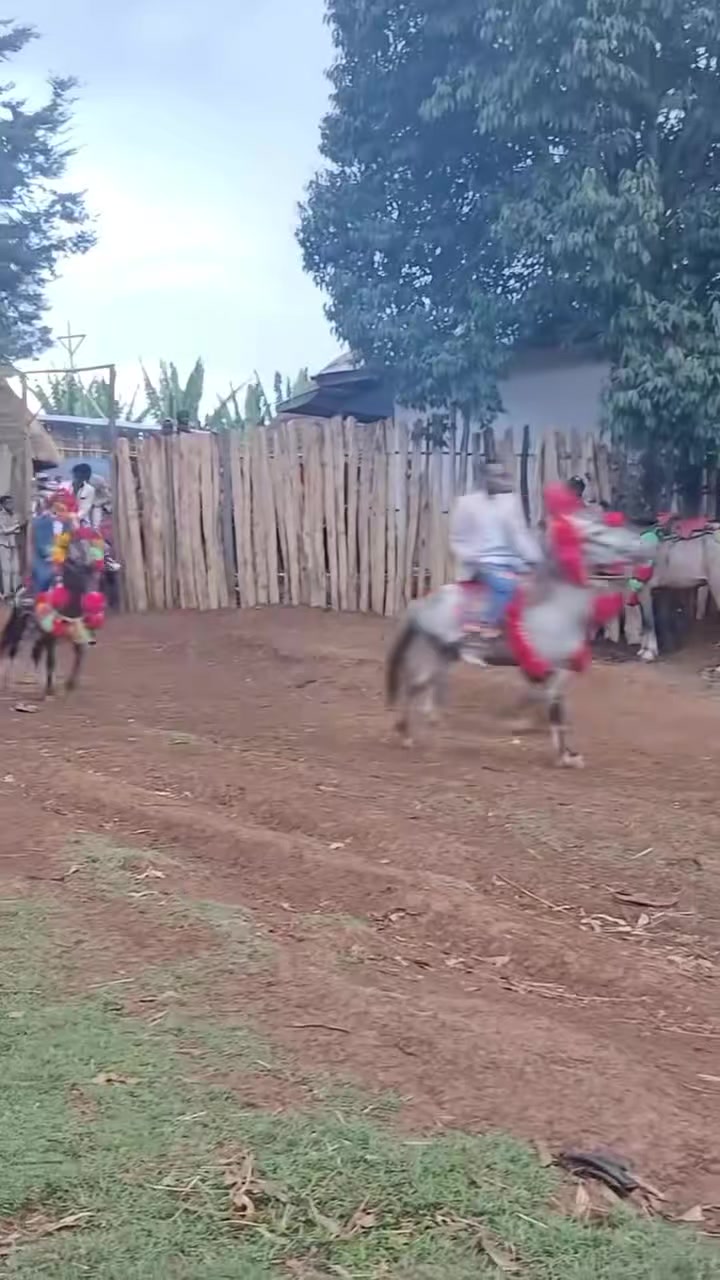 @ቫንዳም የአብቹ ወዳጅ💪