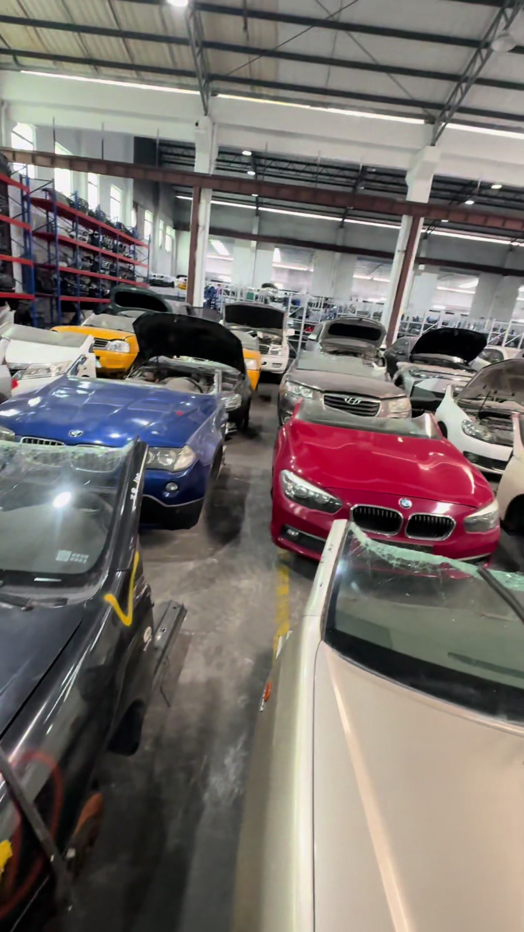 @ARS.Motor.by.