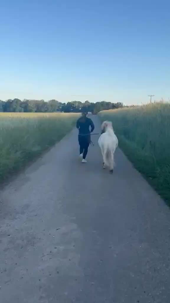 @💞🐴 Madeleine 🐴💞