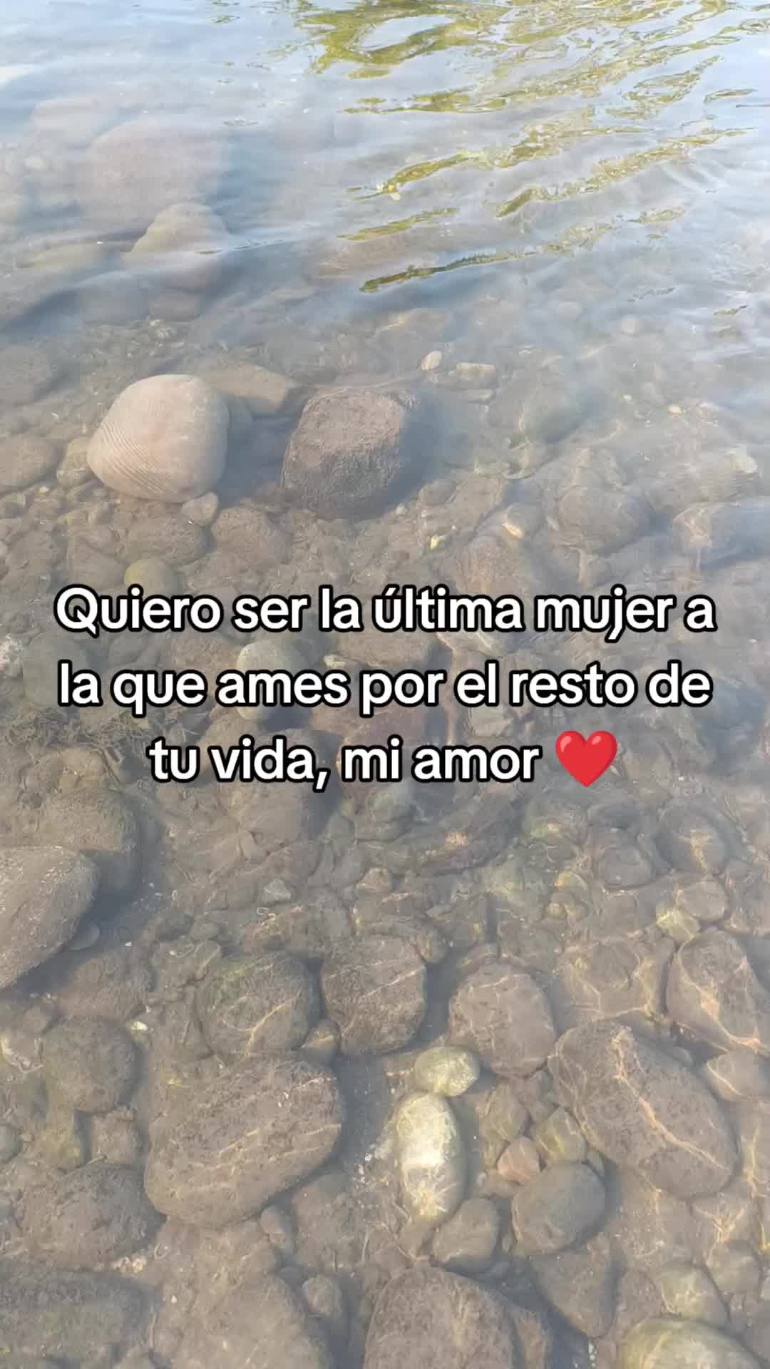 @Leslie DommWall