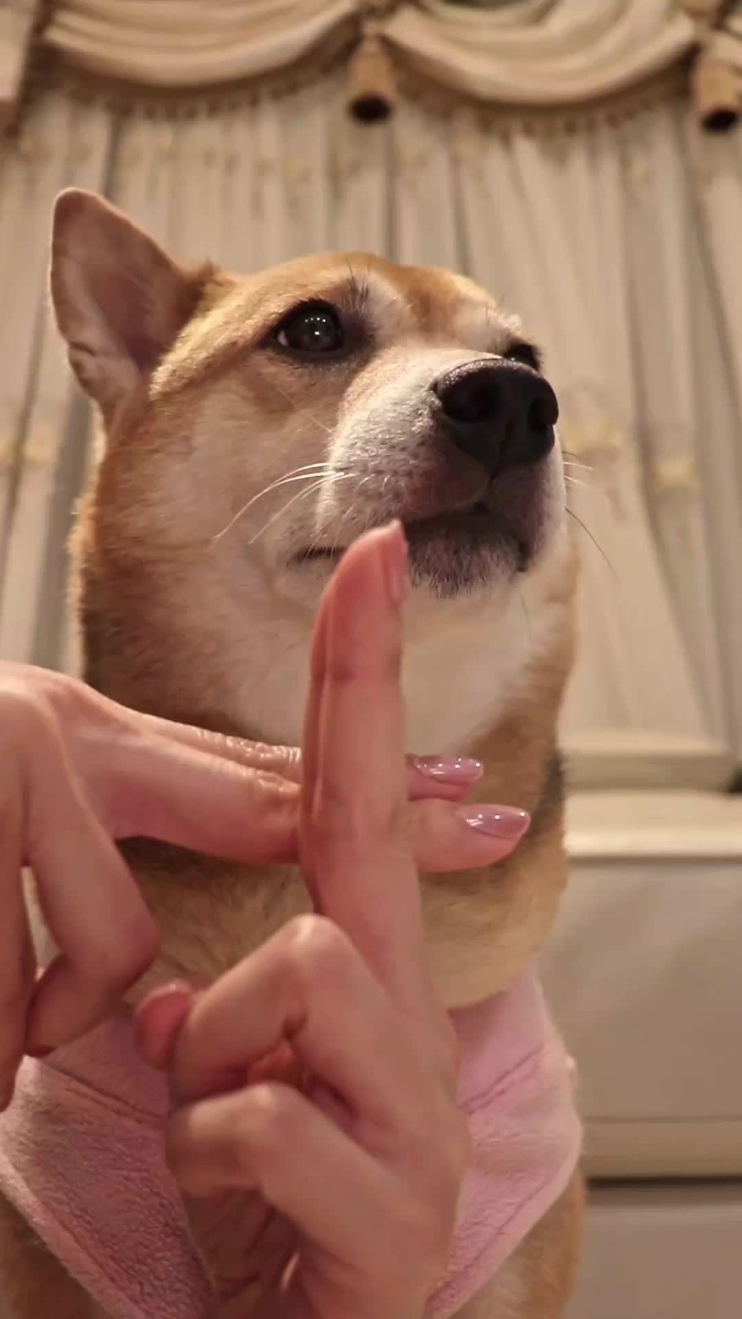 @always_winnie